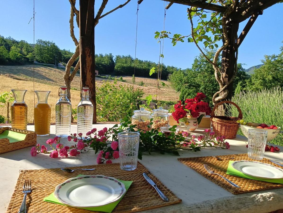 Ca'Novae - Tuscany Farmhouse Montieri Eksteriør billede