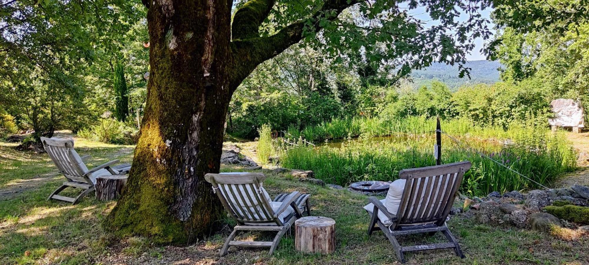 Ca'Novae - Tuscany Farmhouse Montieri Eksteriør billede
